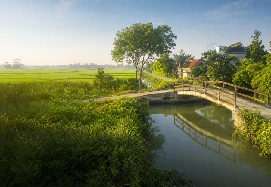 huyện Đông Hưng